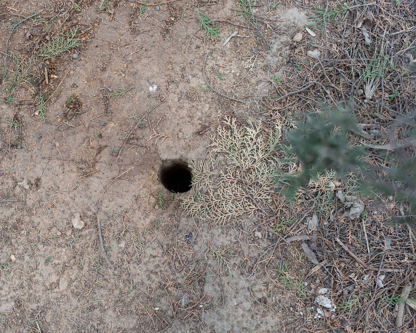 07 洛阳铲在包拯墓地留下的探洞，《黄河厚土》系列.jpg