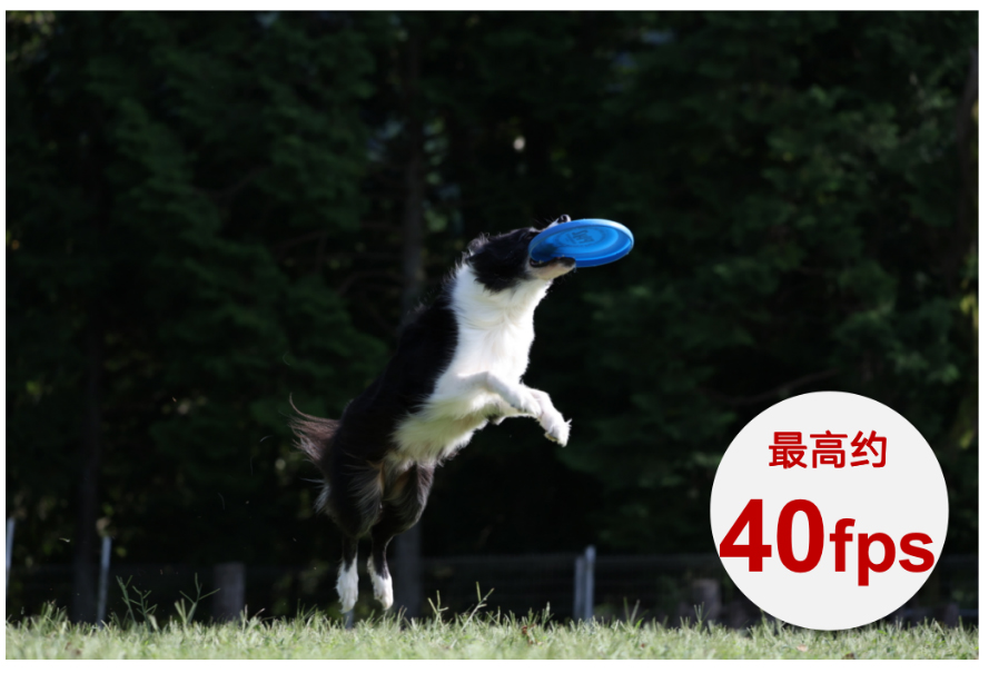 【新闻稿】轻松玩转Vlog 佳能推出普及型全画幅专微相机EOS R8和RF24-50mm F4.5-6 拷贝.3 IS STM标准变焦镜头1442.jpg