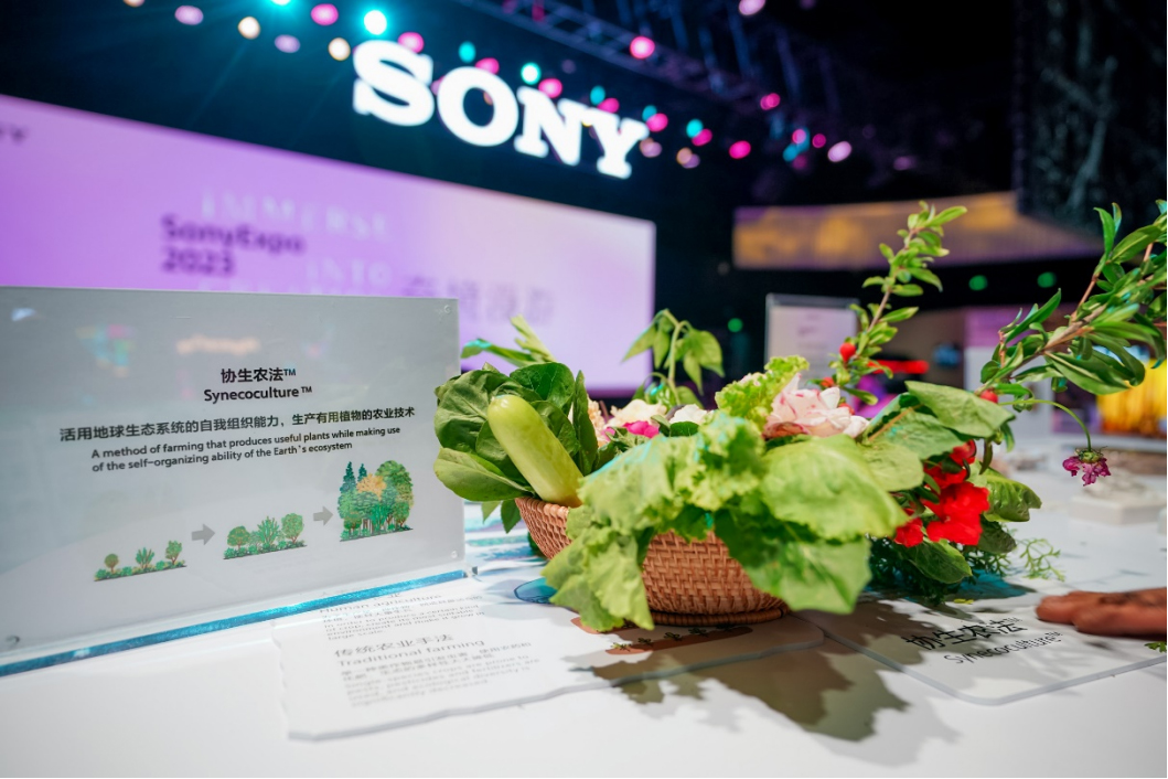 20230524-激发灵感与热情，与追梦者共创感动索尼在华大型品牌活动Sony Expo 2023在沪成功举办(1)3691 拷贝.jpg