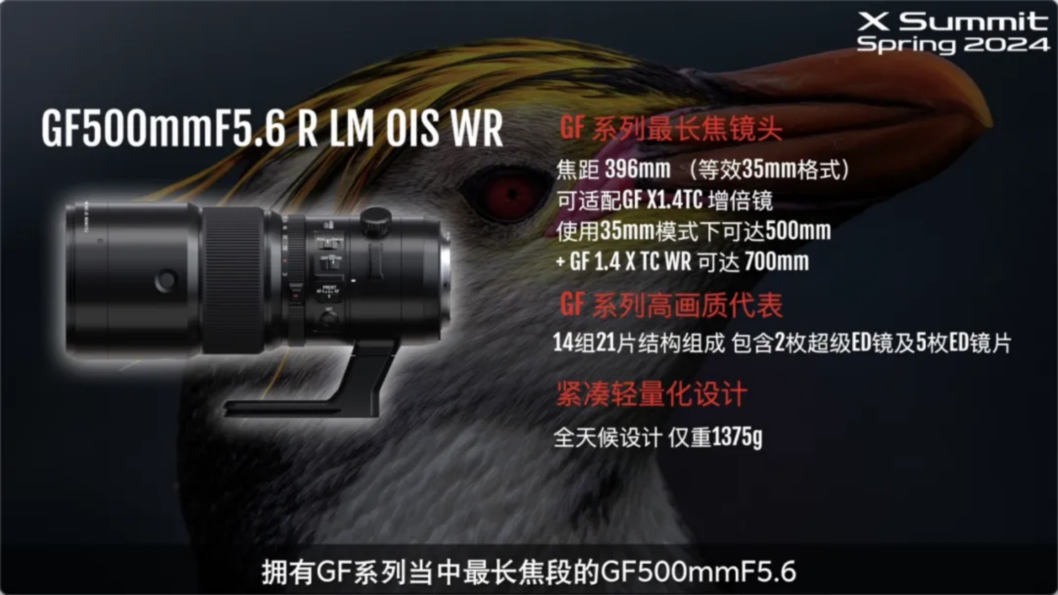 金秋十月542 拷贝.jpg