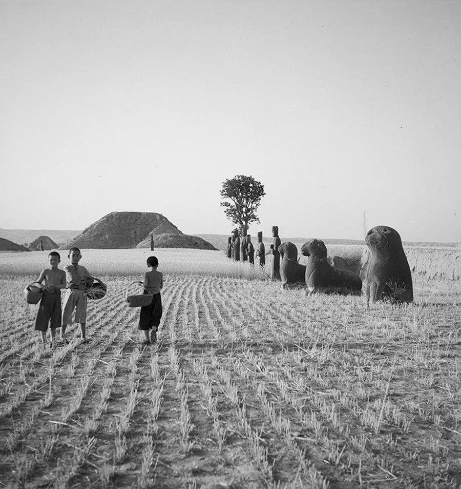 摘要3941 拷贝.jpg