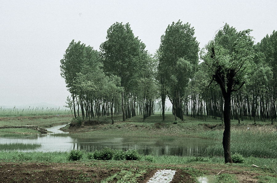 QQ20250326-160052 拷贝.jpg