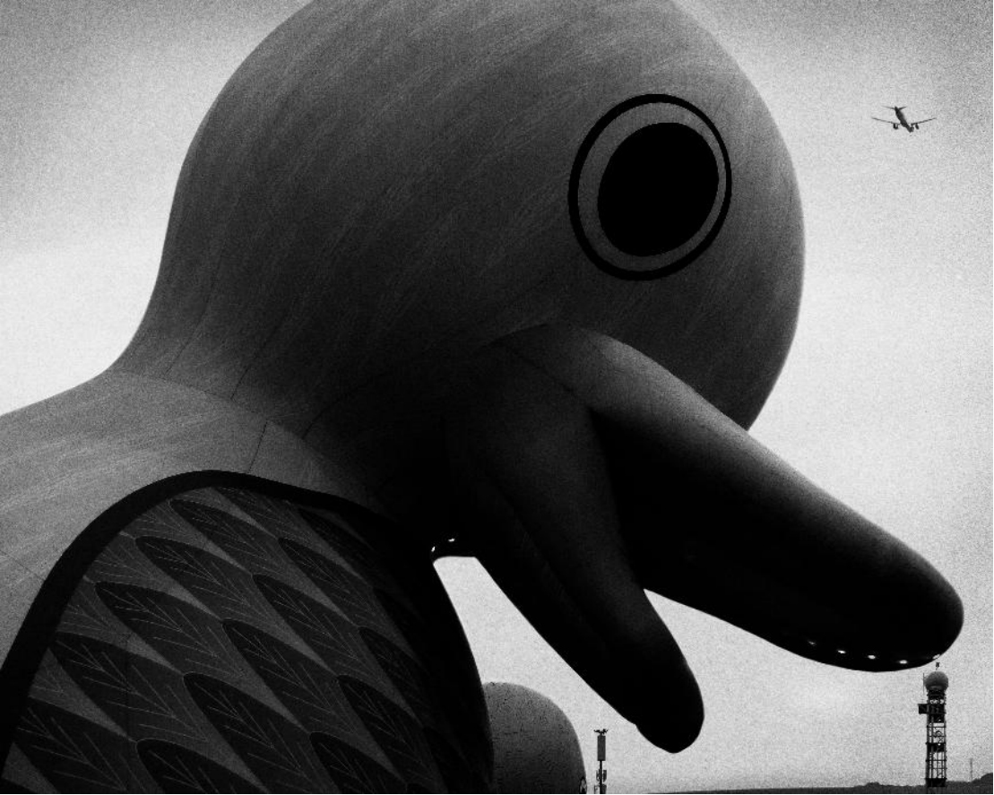 [中英] 新闻稿_2025 集美·阿尔勒国际摄影季 10284 拷贝.jpg