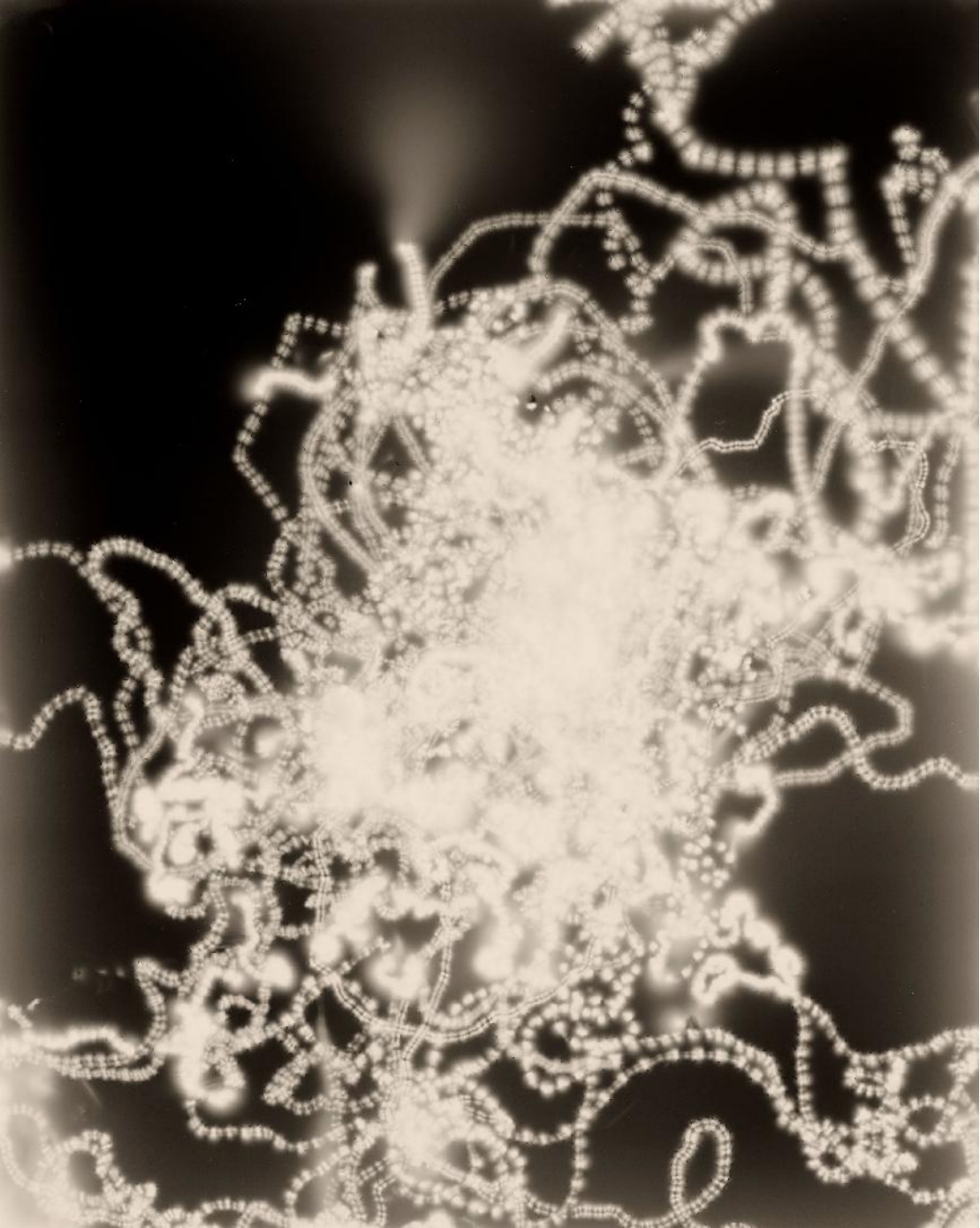 [中英] 新闻稿_2025 集美·阿尔勒国际摄影季 11205 拷贝.jpg