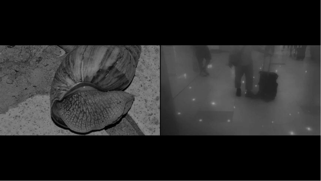 [中英] 新闻稿_2025 集美·阿尔勒国际摄影季 13044 拷贝.jpg