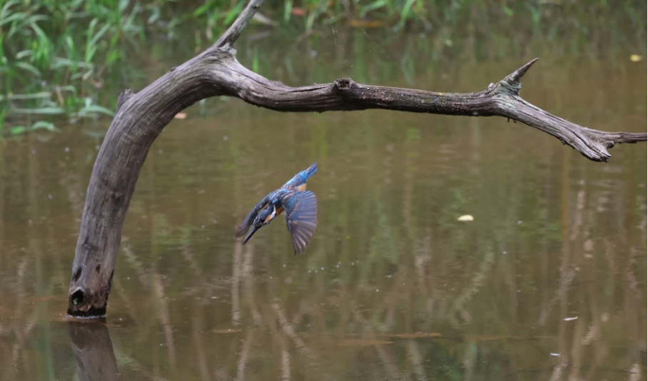 20251106_1762428565957611.jpg 【新闻稿】超越进化 佳能发布全画幅专微相机EOS R6 Mark III982 拷贝.jpg