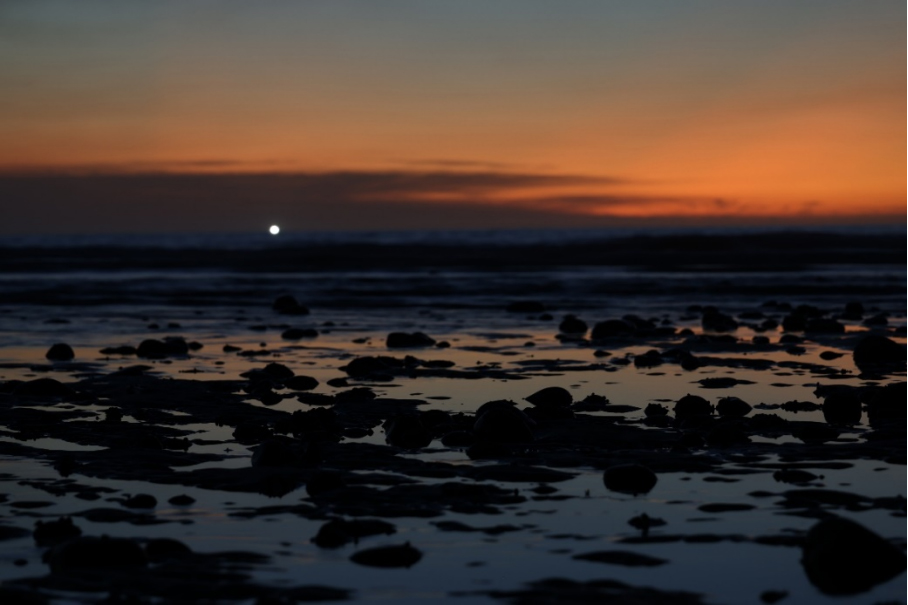 20251106_1762428582759950.jpg 【新闻稿】超越进化 佳能发布全画幅专微相机EOS R6 Mark III1331 拷贝.jpg