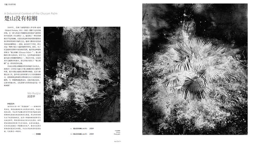 20251112_1762915868820455.jpg QQ20251028-161334.jpg