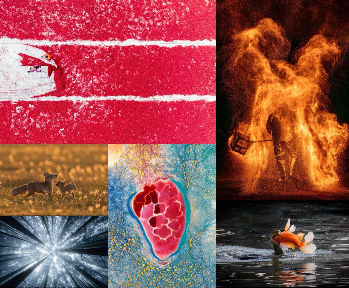 20251117_1763346867759614.jpg 图片4.jpg