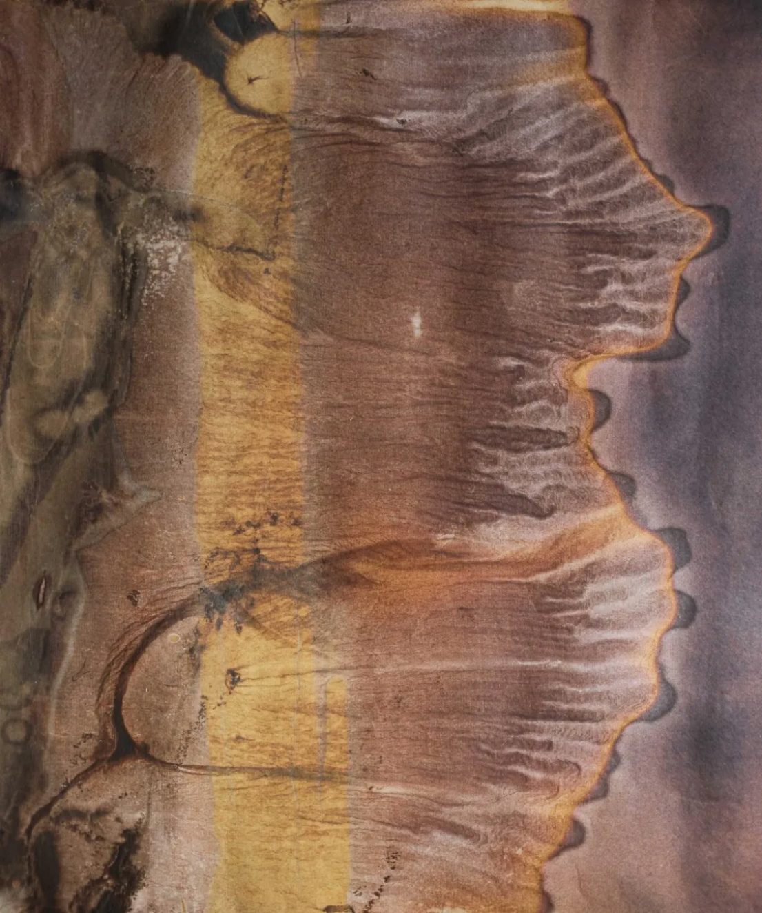 摘要2552 拷贝.jpg