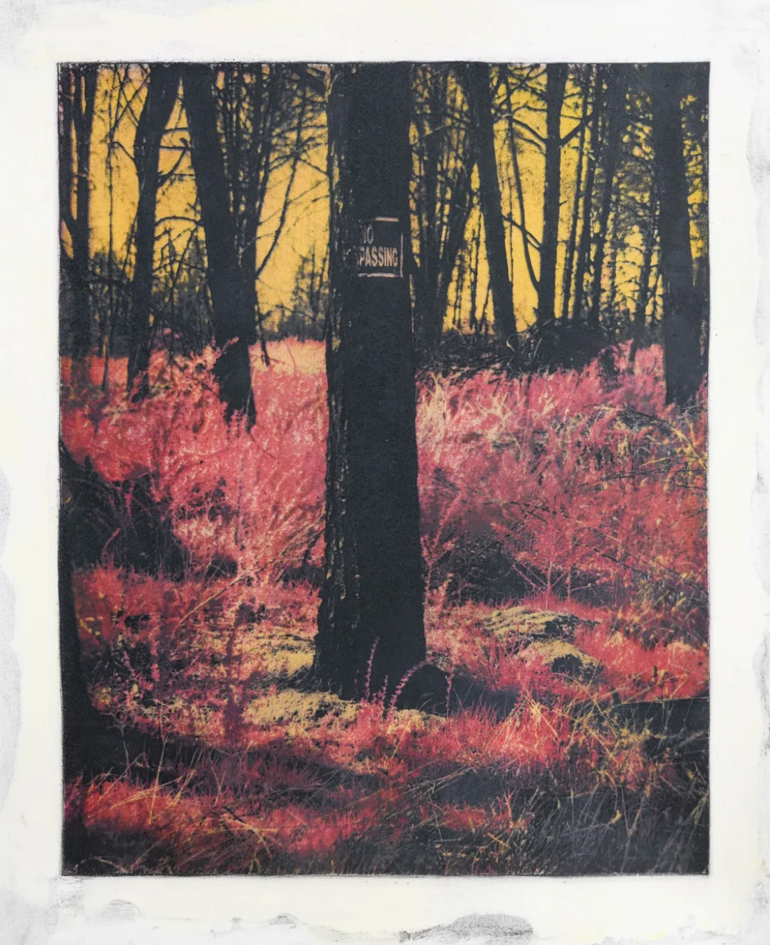 摘要6904 拷贝.jpg