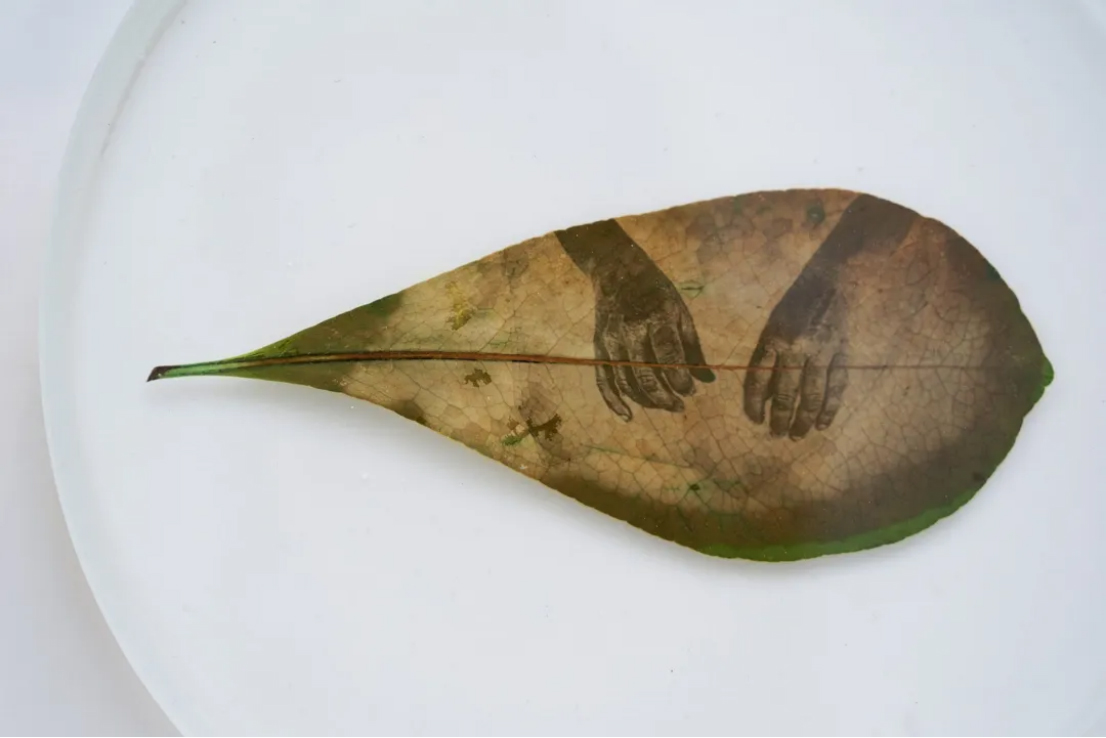 摘要10874 拷贝.jpg