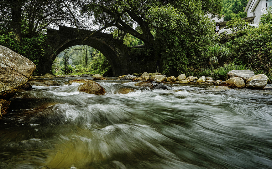 20260119_1768806050202699.jpg 《古桥·老树·长流水》董江洪(江西南昌).jpg