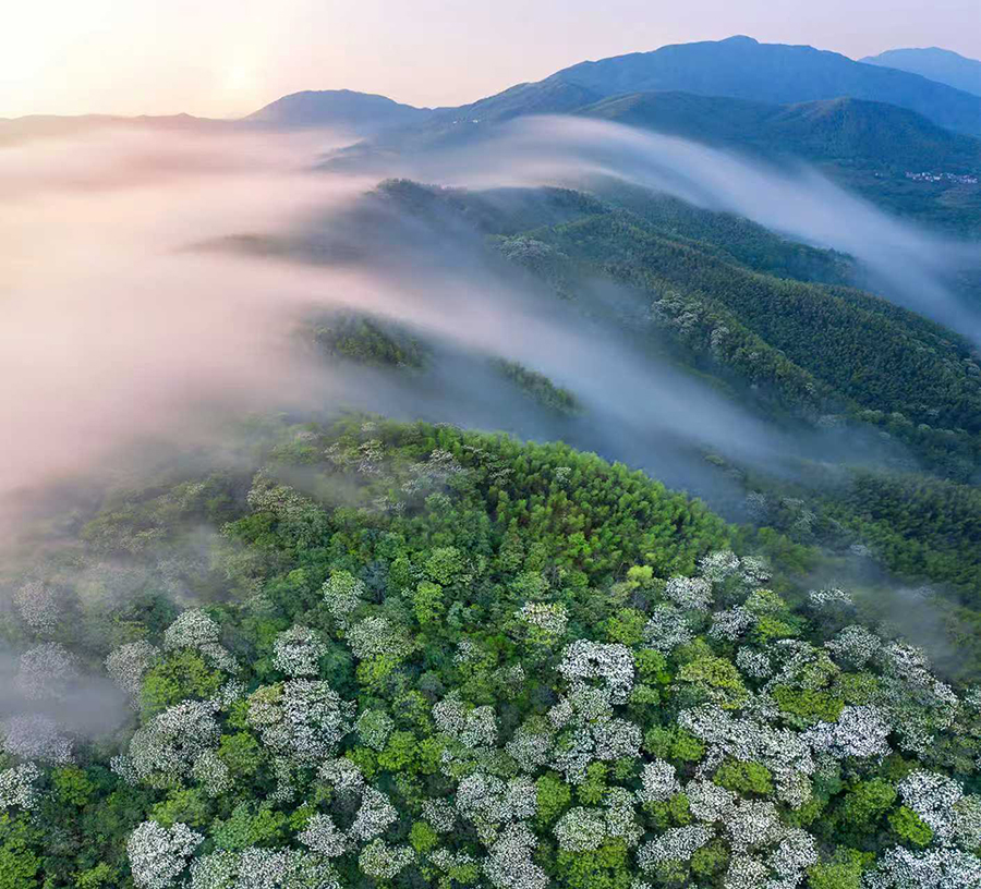 20260119_1768806210835497.jpg 微信图片_20260115141823.jpg