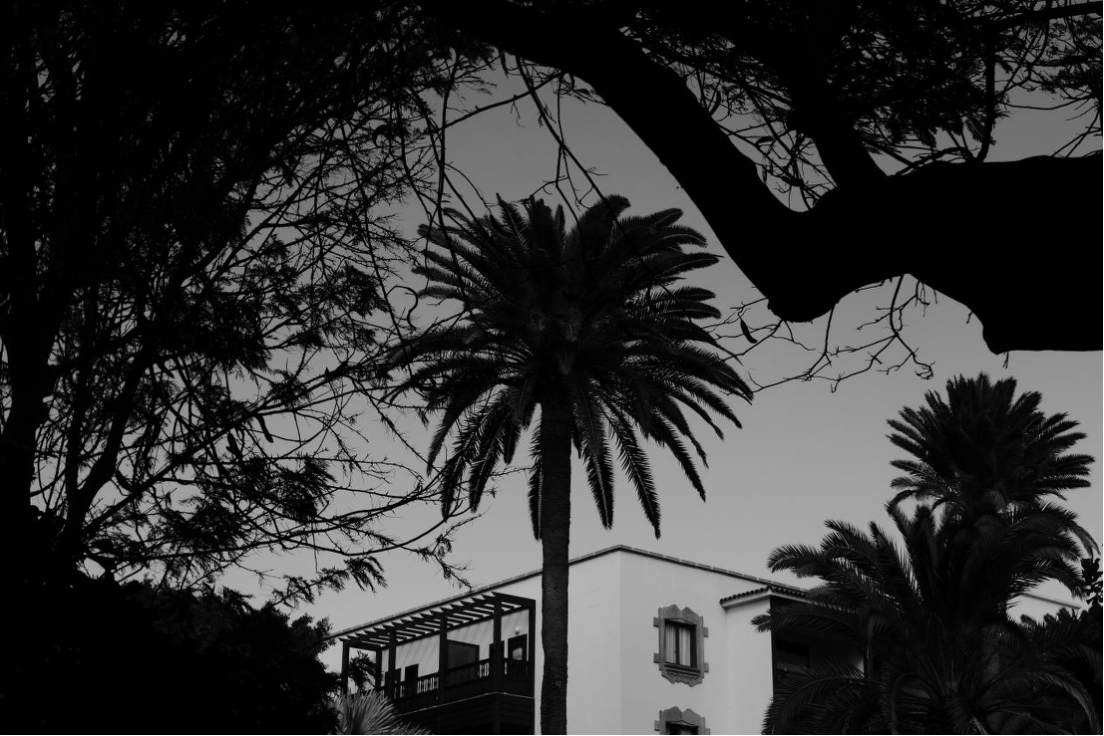 20260325_1774405632632530.jpg 2261新品发布(修改版)(1)224 拷贝.jpg