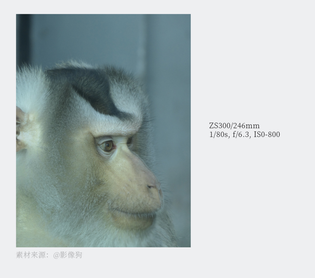 20260325_1774405740926800.jpg 2261新品发布(修改版)(1)795 拷贝.jpg