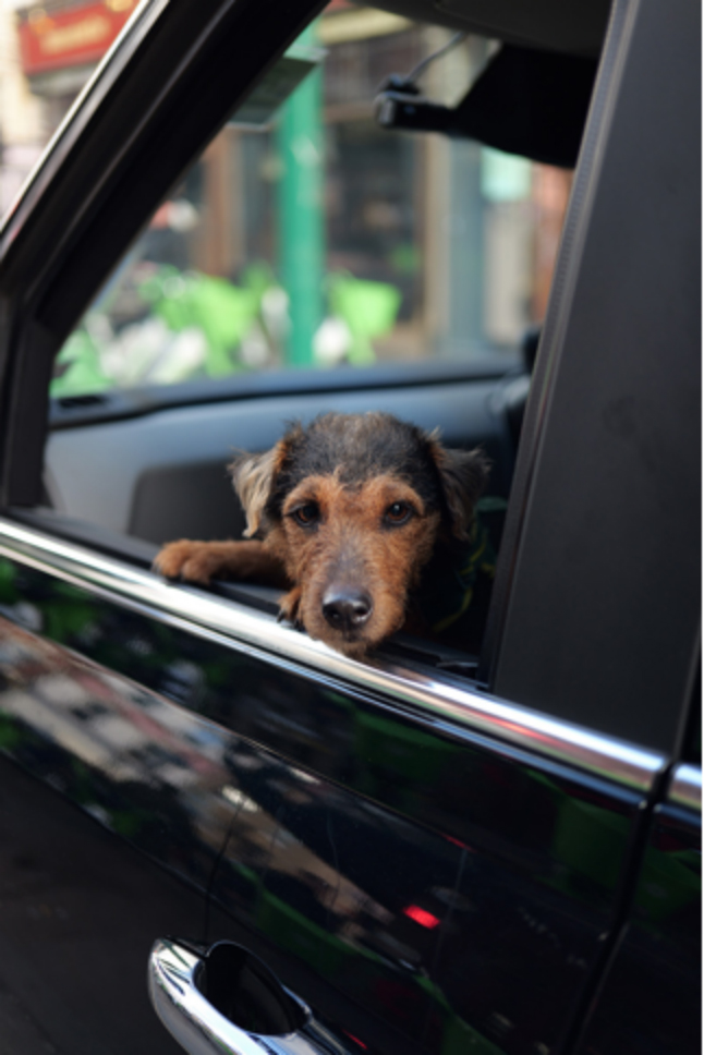 小美好，轻上镜｜LUMIX S 40mm F2 正式发布，S9新色同步登场(1)483 拷贝.jpg