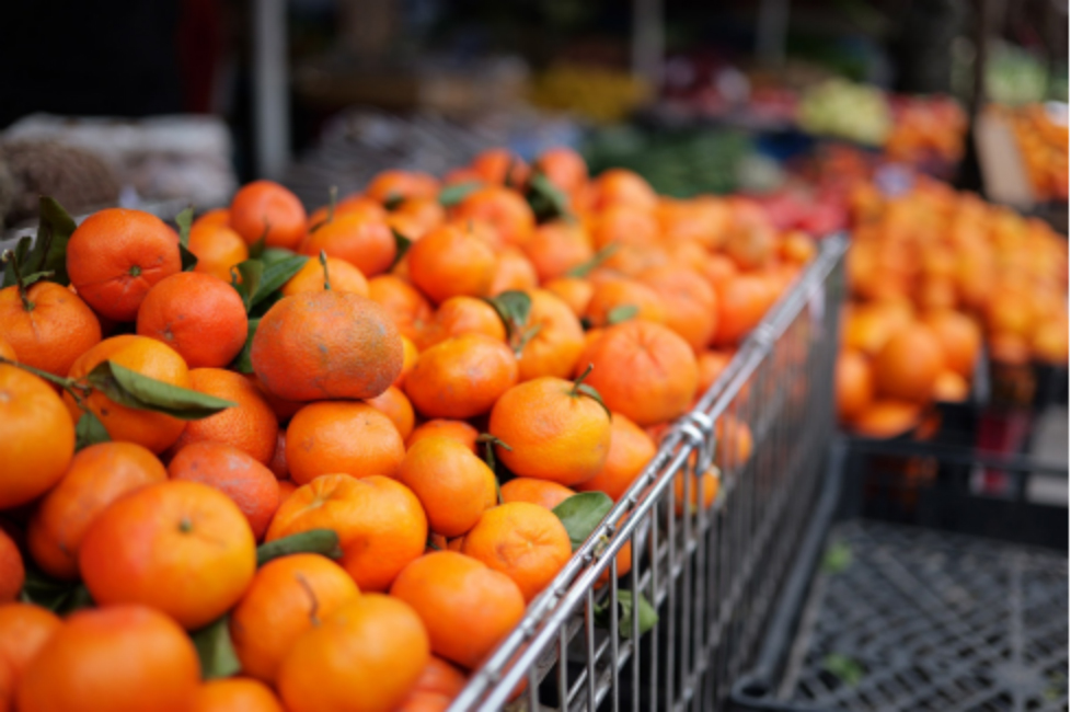 小美好，轻上镜｜LUMIX S 40mm F2 正式发布，S9新色同步登场(1)647 拷贝.jpg