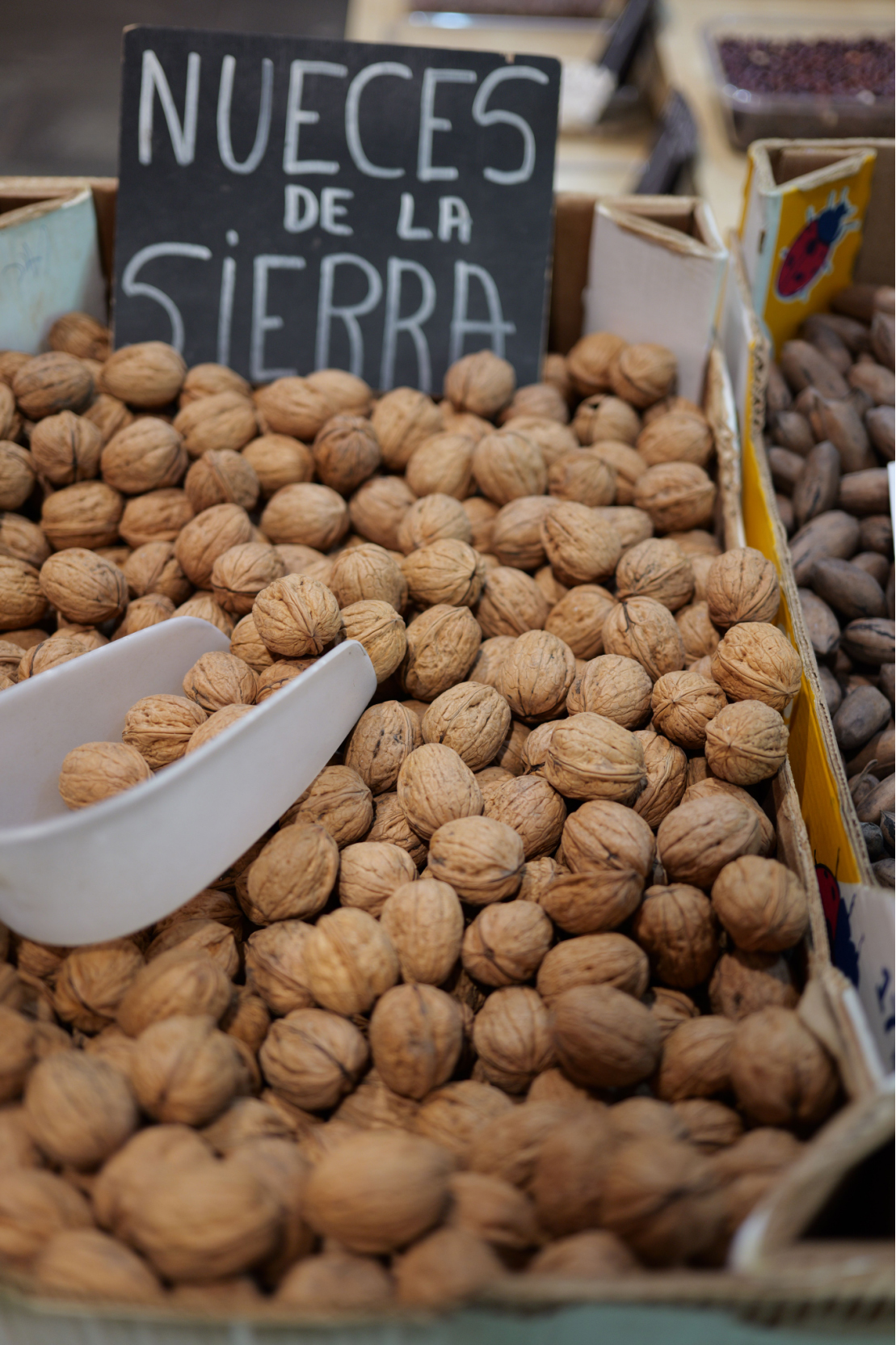 小美好，轻上镜｜LUMIX S 40mm F2 正式发布，S9新色同步登场(1)705 拷贝.jpg