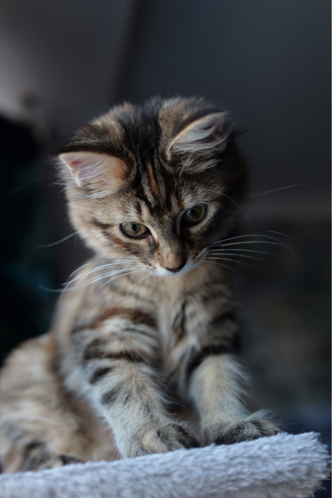 小美好，轻上镜｜LUMIX S 40mm F2 正式发布，S9新色同步登场(1)1899 拷贝.jpg