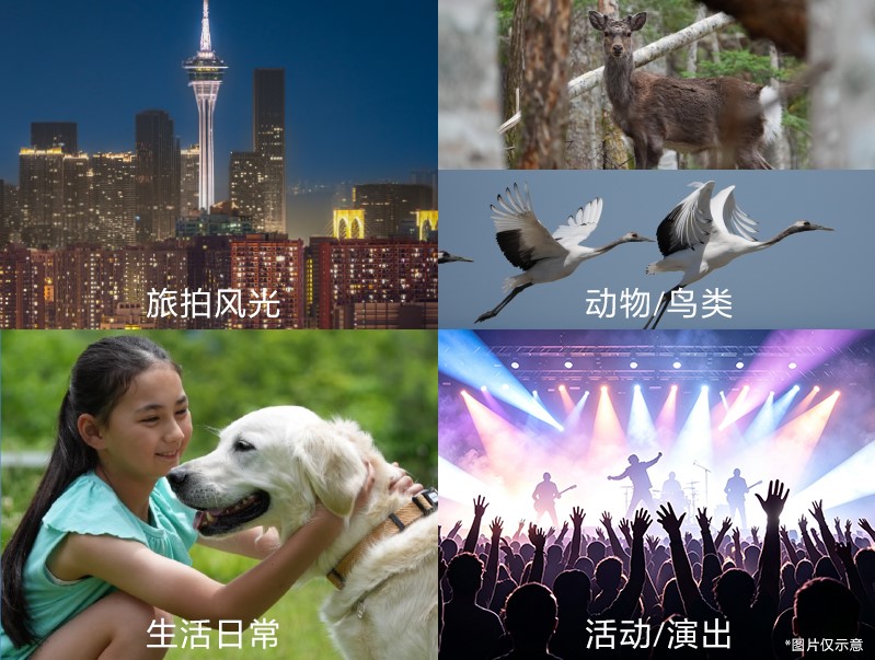 20260805_1785899012426141.jpg 3 拍摄题材.jpg