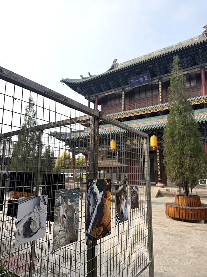 20260923_1790134810480195.jpg 微信图片_20260921161747_287_1410.jpg
