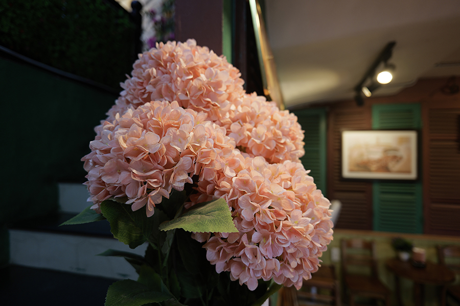 P1056867.jpg